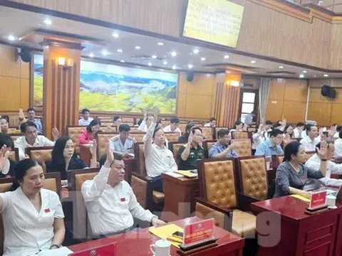 Cho thôi làm Đại biểu HĐND tỉnh Lạng Sơn do vi phạm sử dụng chứng chỉ giả