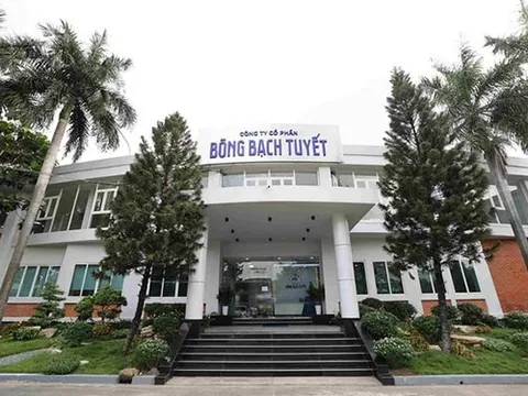 Chương mới của Bông Bạch Tuyết