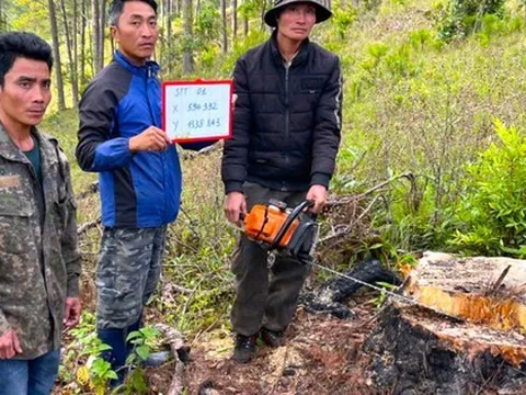 Chỉ đạo nóng của Chủ tịch UBND tỉnh Lâm Đồng