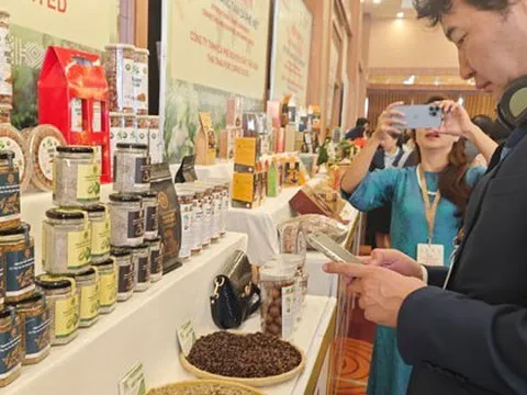 Nhấp nhổm với giá cà phê