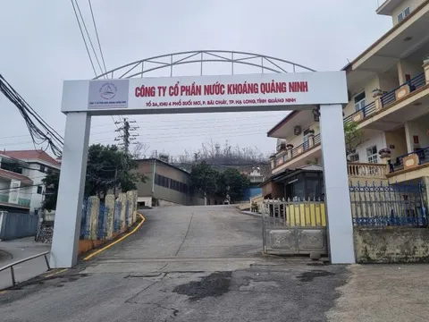 Thành viên "họ" Masan tại Quảng Ninh làm ăn ra sao?