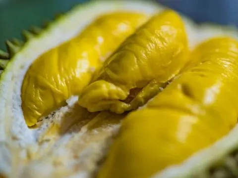 Không phải Thái Lan hay Việt Nam, trái cây vua của một quốc gia đang lên như diều gặp gió: Sắp xuất khẩu hàng tươi sang Trung Quốc, châu Âu cũng đang mạnh tay săn lùng