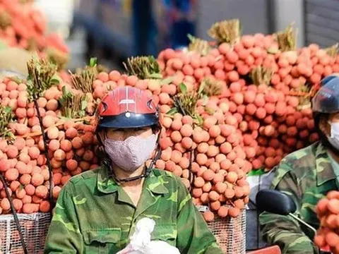 Nông sản Việt đang ở đâu?