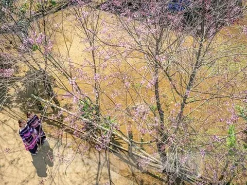 Bình Định chi 5 tỷ đồng làm nhà công vụ cho cán bộ đến công tác tại xã 'cổng trời'