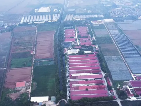 Dabaco được chấp thuận đầu tư dự án Cụm công nghiệp Lạc Vệ tại Bắc Ninh