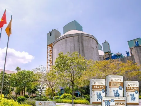 Vicem Hà Tiên bị xử phạt và truy thu thuế hơn 2,6 tỷ đồng