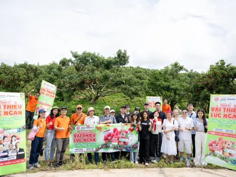 54 tấn vải Lục Ngạn bán hết veo sau phiên live 6 tiếng, PCT Bắc Giang nêu rõ 3 từ "đạt chuẩn sang Mỹ"