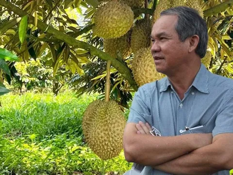 Giá sầu riêng thấp kỷ lục, nhớ lại lời bầu Đức: Ngay cả khi bán sầu riêng với giá 20.000 đồng/kg vẫn có lãi