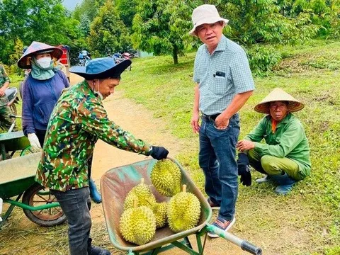 Bầu Đức hé lộ HAGL có thể lãi kỷ lục 2.500 tỷ đồng năm 2025