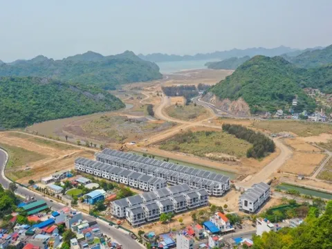 Vinaconex muốn thoái sạch vốn, doanh nghiệp làm dự án Cát Bà Amatina kéo dài hơn 2 thập kỷ đang thế chấp ngân hàng những gì?