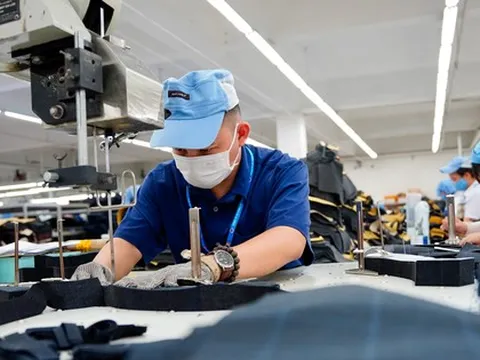 Kỷ lục chưa từng có: Hơn 24.000 doanh nghiệp thành lập mới chỉ trong tháng 6