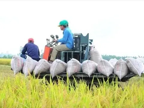 Việt Nam thu về 33,8 tỷ USD từ xuất khẩu nông sản, giao thương với Mỹ tăng mạnh