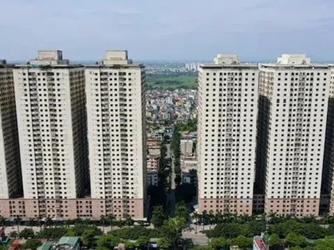 Chủ tịch Hà Nội yêu cầu kiểm tra, xử lý vi phạm trật tự xây dựng tại Khu đô thị Đại Thanh