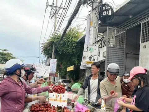 Vải thiều đại hạ giá tại TPHCM