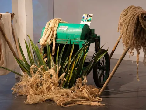 Từ cái áo, chiếc ghế đầu tiên làm từ cà phê... DN Việt Nam đã tận dụng thiên nhiên và sản xuất được quy mô công nghiệp