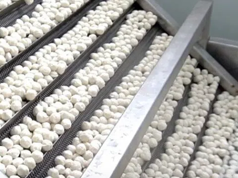 Một mặt hàng ‘ngon bổ rẻ’ của Việt Nam được Thái Lan, Hàn Quốc cực kỳ ưa chuộng: Xuất khẩu tăng phi mã kể từ đầu năm, nhu cầu tăng mạnh từ Á đến Âu