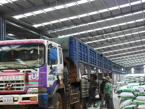 Doanh nghiệp xuất sang Trung Quốc bị từ chối thông quan do sáp nhập tỉnh, huyện, xử lý thế nào?