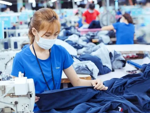 Ngành dệt may Việt Nam lần đầu ghi nhận xuất khẩu giảm trên 10% sau 30 năm