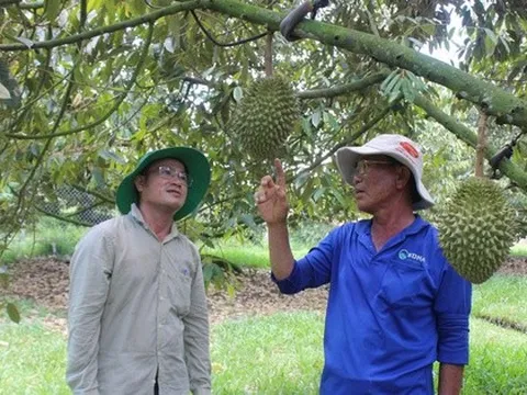 Loạt dự án chiến lược ở Tây Ninh được chấp thuận chủ trương đầu tư