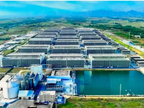 Tỉnh Tây Ninh “gật đầu” cho BAF triển khai “chung cư nuôi heo” đầu tiên Việt Nam: Tạo 100.000 heo/năm chỉ cần 95 nhân công, diện tích đất 6,7ha - tiết kiệm được 10 lần