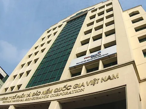 Vinare sắp phát hành hơn 18 triệu cổ phiếu trả cổ tức