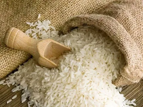 Lộc Trời tháp tùng Thủ tướng 'mở cánh cửa' cho gạo Việt ở đất nước 210 triệu dân