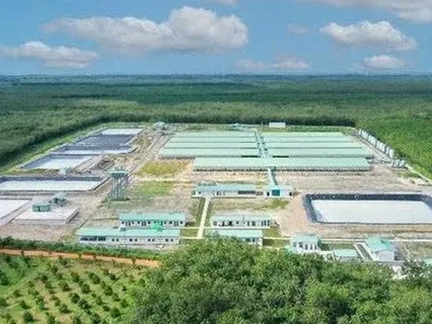 Baf Việt Nam ‘rót’ 150 tỷ đồng thành lập công ty con tại Ninh Bình