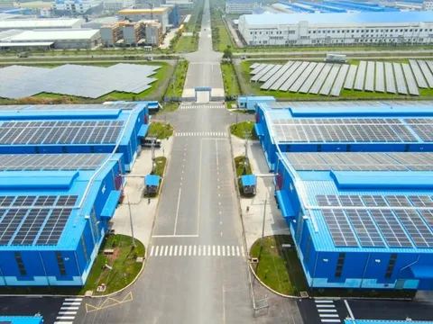 Khu kho cảng Thành Thành Công: Mắt xích logistics liền mạch và hiệu quả