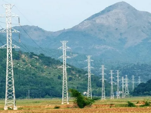 Toàn bộ thành viên HĐQT từ nhiệm, VNECO 9 tổ chức họp khẩn