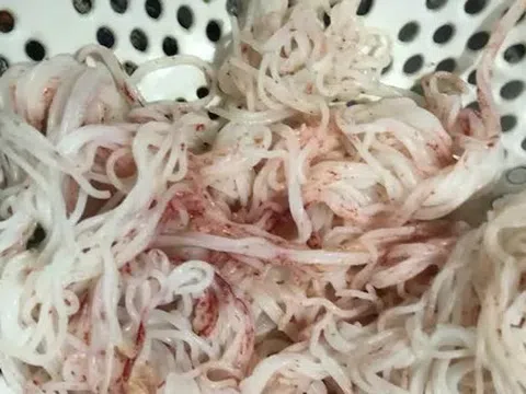 Bún tươi đổi màu lạ tại Đà Nẵng: Cơ sở sản xuất bị đình chỉ khẩn cấp