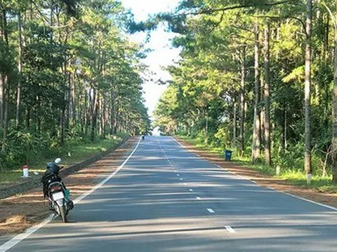 Quảng Ngãi sẵn sàng làm cao tốc, sân bay Lý Sơn, Măng Đen