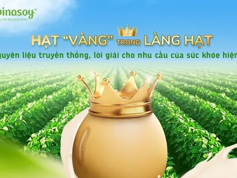 Hạt “vàng” trong làng hạt: Lời giải cho nhu cầu sức khoẻ hiện đại