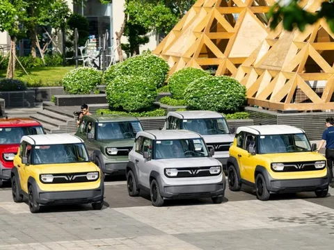 Tín đồ xe điện Hải Phòng, Đồng Nai lên lịch “Vi vu muôn ngả - Phủ xanh Việt Nam” cùng VinFast