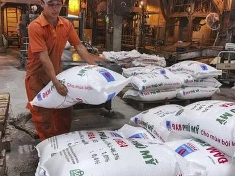 Đạm Phú Mỹ sắp chi hơn 587 tỷ đồng trả cổ tức cho cổ đông