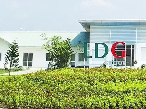 Bất chấp nằm trong diện kiểm soát, cổ phiếu LDG vẫn tăng trần 11 phiên