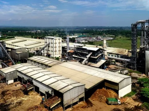 Lỗi đánh máy, một công ty gỗ đặt mục tiêu doanh thu cả triệu tỷ đồng, gấp 5 lần Hòa Phát, 3 lần Vingroup