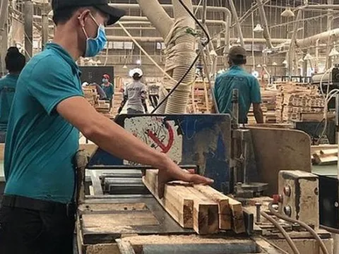 Sự thật vụ một doanh nghiệp gỗ đặt mục tiêu doanh thu gần 1 triệu tỉ đồng