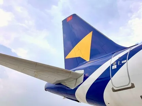 Vietravel Airlines hủy loạt chuyến bay do sự cố va chạm với chim