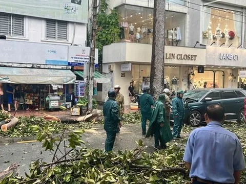 Trưa nay, gió lớn ở TP HCM, cây xanh ngã đổ nhiều nơi