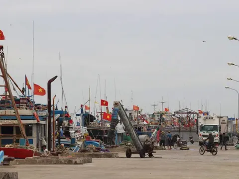 Ninh Bình đề xuất xây dựng cảng biển nước sâu tại khu kinh tế Ninh Cơ