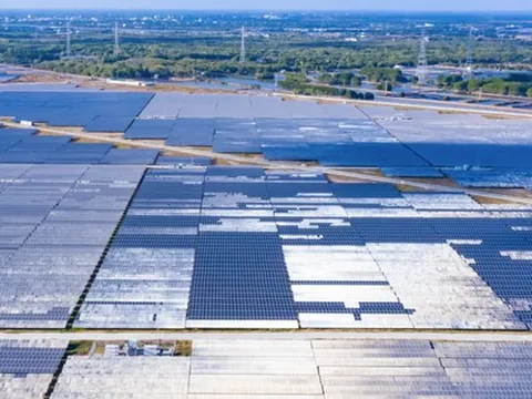 Báo lãi năm 2024, Trung Nam Thuận Nam giảm lỗ lũy kế về gần 850 tỷ đồng