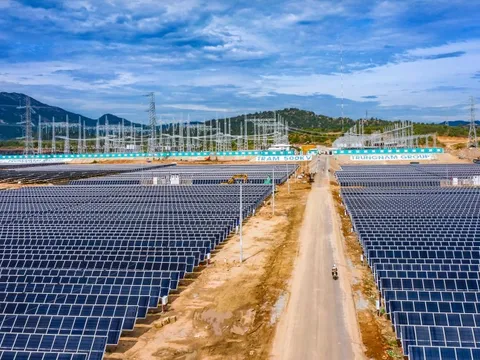 Trung Nam Thuận Nam báo lãi hơn 138 tỷ đồng trong năm 2024