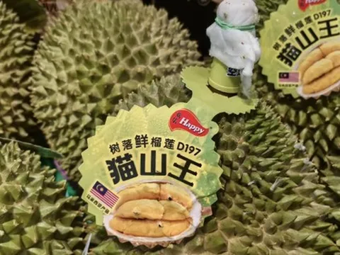 Đối thủ sầu riêng của Thái Lan, Việt Nam xuất khẩu tăng vọt 256%: Sắp thu về hơn 350 triệu USD, Trung Quốc, Singapore đều cực ưa chuộng