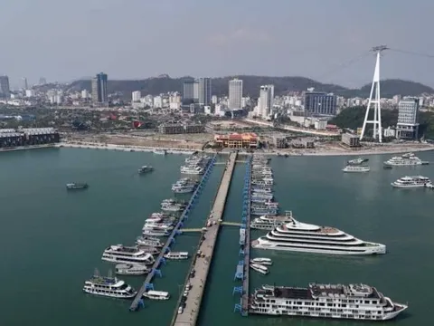 Ngành kinh tế "nghịch quy luật" phất mạnh, Quảng Ninh sẵn sàng đón "mùa vàng bội thu"