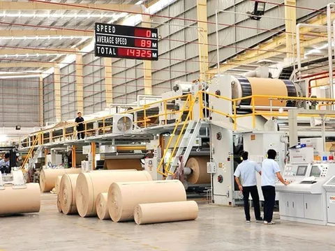 Đông Hải Bến Tre báo lãi tăng trưởng bất chấp doanh thu giảm