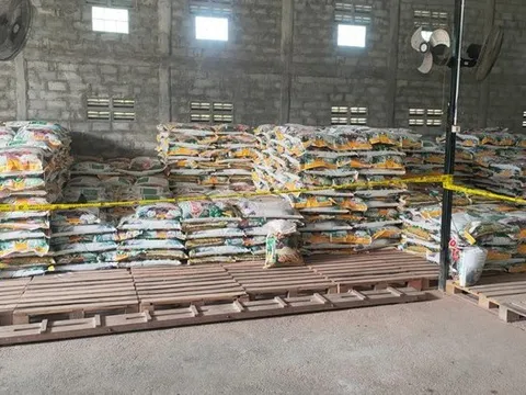 Đột kích một nhà máy, công an triệt phá đường dây sản xuất phân bón giả, bắt giữ giám đốc và tịch thu hàng trăm tấn sản phẩm
