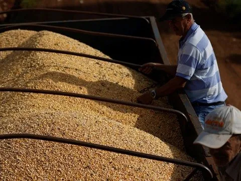 Lào đưa sang Việt Nam hàng chục nghìn tấn hàng quan trọng - Nước ta có diện tích trồng top 30 thế giới vẫn phải chi tiền nhập khẩu