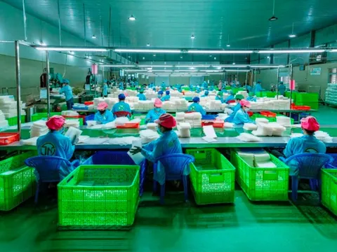 Từ cái 'chạm tay' của Thủ tướng đến những lô 'Bánh tráng Tây Ninh không nhúng nước' xuất đi 8 quốc gia