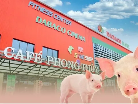 Vaccine bảo hộ hiệu quả giữa bão dịch tả lợn, Dabaco (DBC) báo lãi quý 2 tăng trưởng 250%