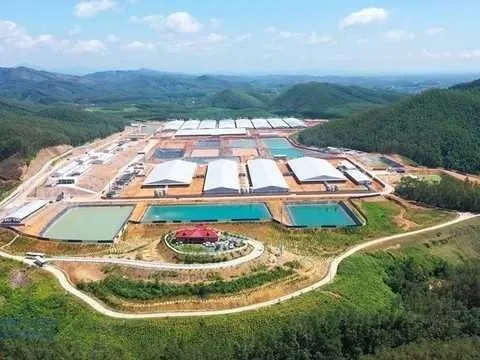 Quảng Ninh: Cuộc đổ bộ bạc tỷ vào ngành kinh tế đặc biệt quan trọng, nhắm thẳng tới thị trường Trung Quốc